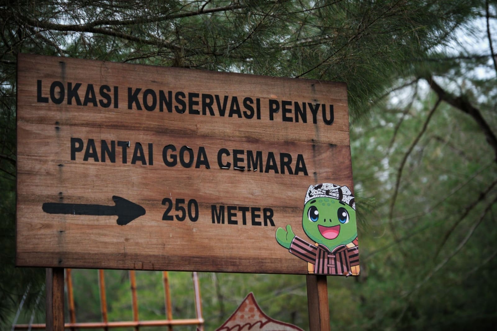 Kisah Goa Cemara: Bukan Sekadar Rekreasi, Tetapi Juga Konservasi