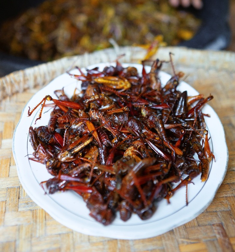 Walang Goreng : Penyokong Ketahanan Pangan